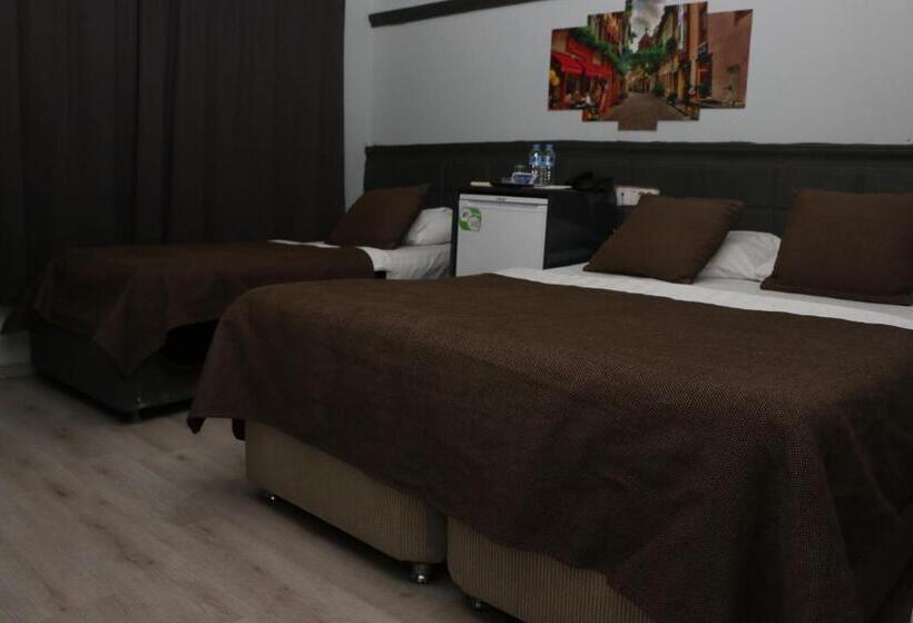 اتاق استاندارد سه تخته با چشم‌انداز باغ, Asus Palmiye Otel