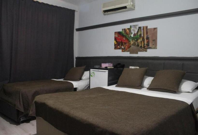 اتاق استاندارد سه تخته با چشم‌انداز باغ, Asus Palmiye Otel