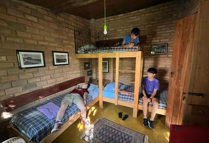 공동 객실, Hostelvi Guesthouse