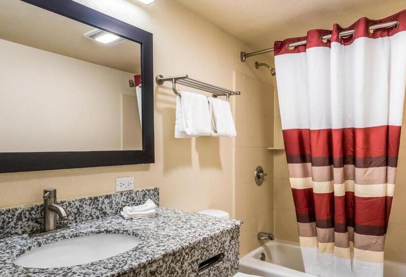 带大床的高级房间, Red Roof Inn Chicago  Alsip