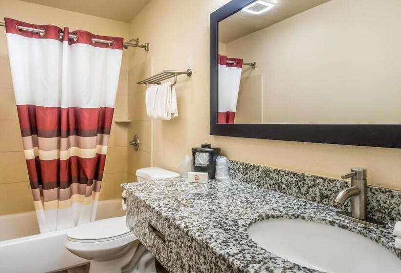 豪华房间, Red Roof Inn Chicago  Alsip