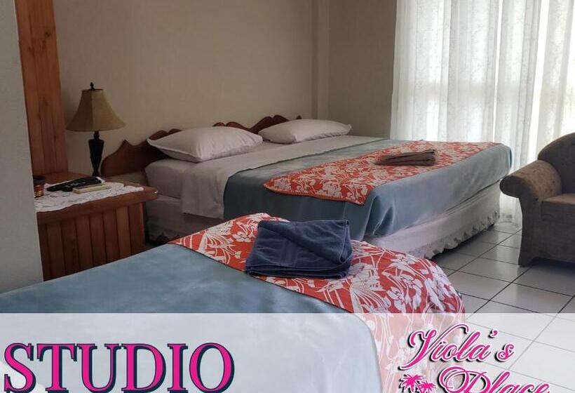 اتاق ساده سه‌ نفره, Viola's Place