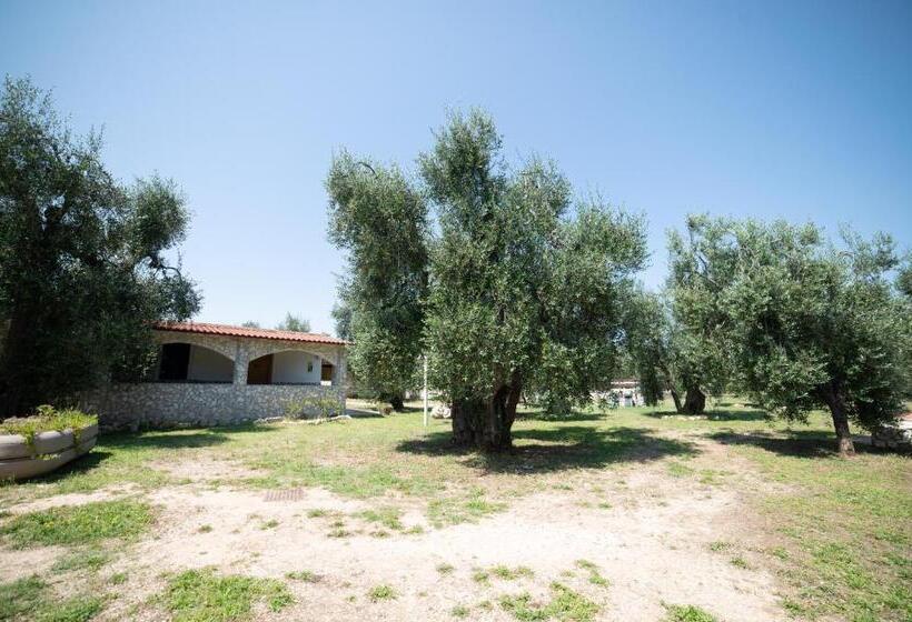 اتاق کلاسیک چهارنفره, Coppola Rossa Relax