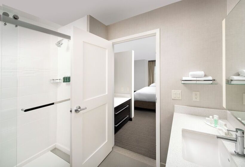 Студия Стандарт, Residence Inn By Marriott Denver Airport/convention Center