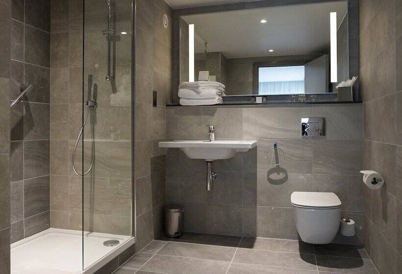 싱글 디럭스 룸, Maldron Hotel Kevin Street, Dublin City