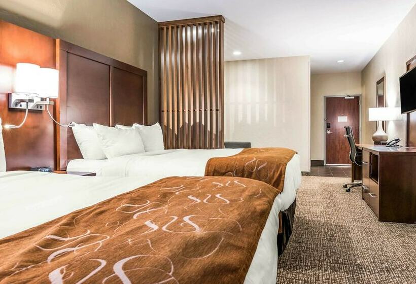 스위트, Comfort Suites Florence  Cincinnati South