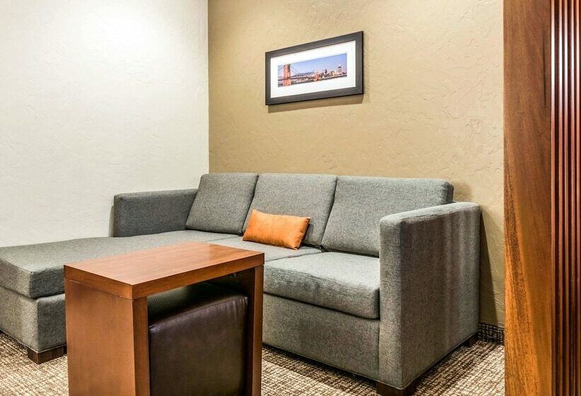 스위트, Comfort Suites Florence  Cincinnati South