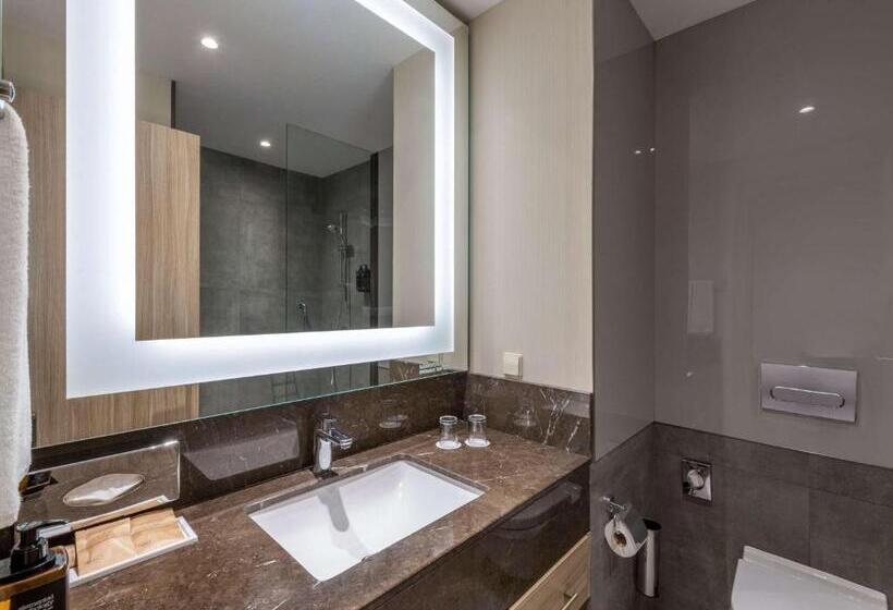 اتاق استاندارد, Tbilisi Saburtalo Hotel By Mercure