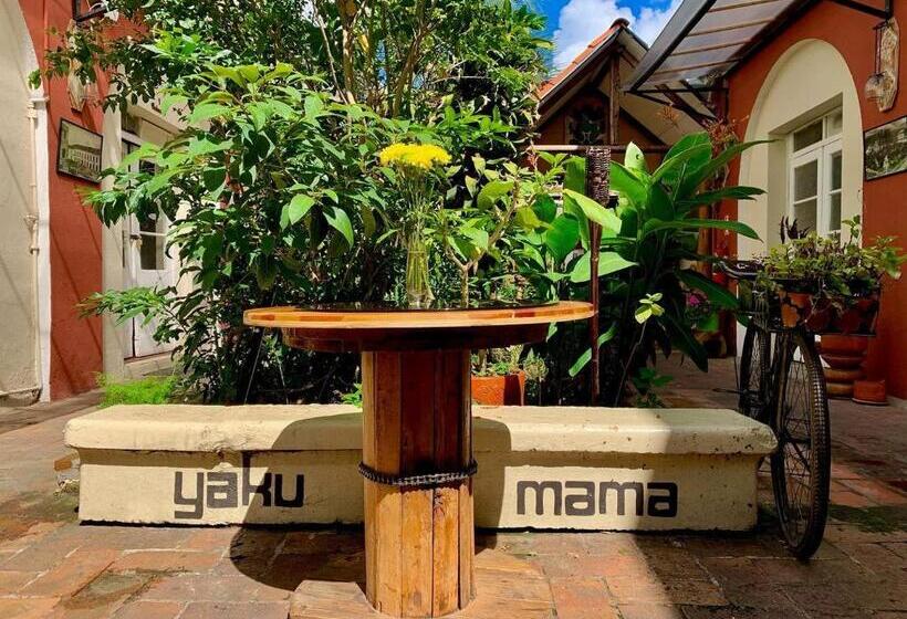 패밀리 룸, Hostal Yakumama