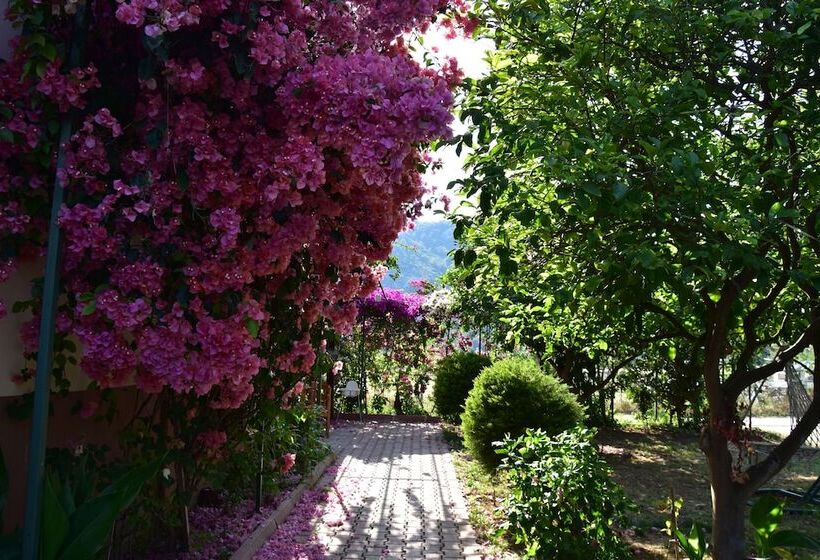 Апартаменты 2 Спальни, Lemon Garden Lodge