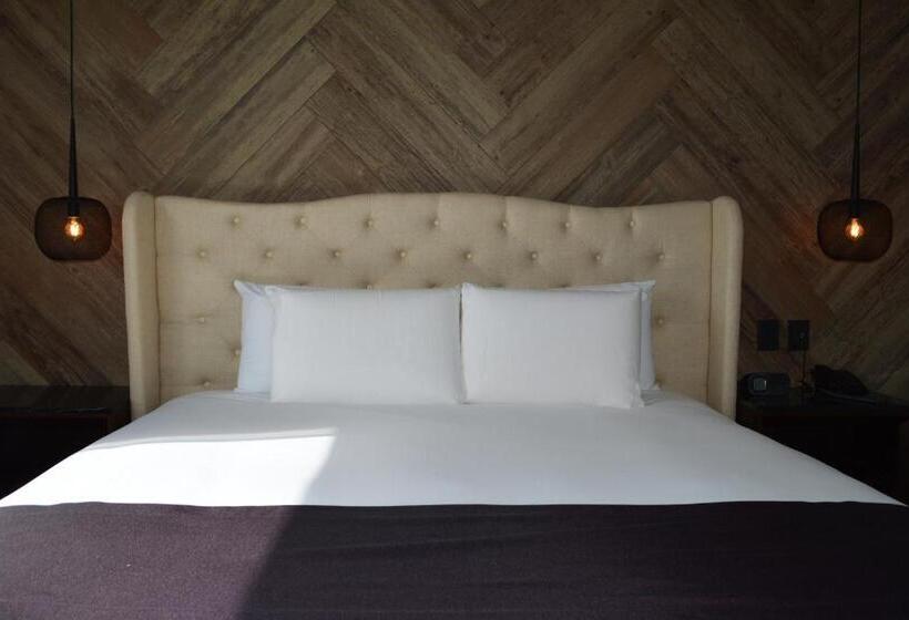 デラックススイート, Casa Basalto