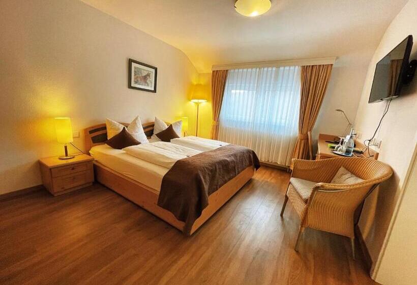 스탠다드 룸, Albhotel Malakoff   House Of Nature