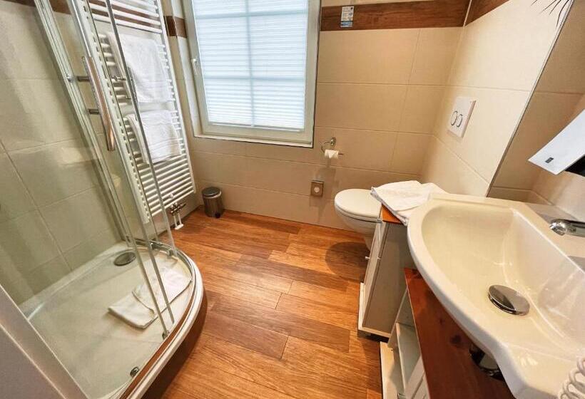 스탠다드 룸, Albhotel Malakoff   House Of Nature