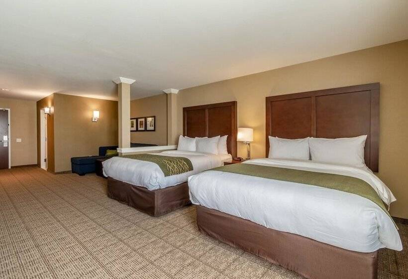 套房, Comfort Inn & Suites – Harrisburg Airport – Hershey South