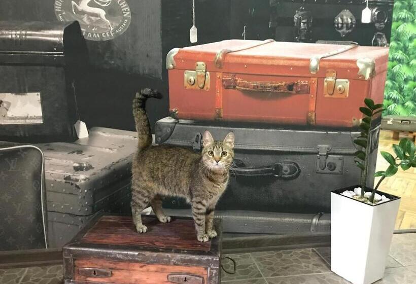 اتاق استاندارد با سرویس بهداشتی مشترک, Sacvoyage