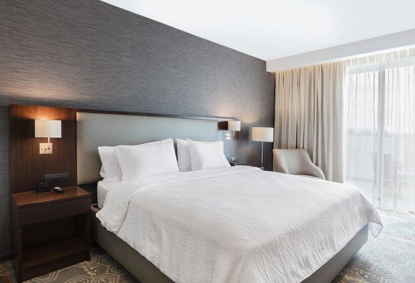 스탠다드 룸 더블 침대, Hilton Garden Inn Salamanca
