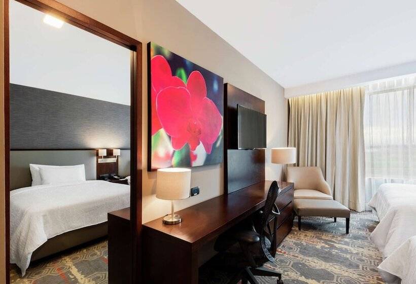 스탠다드 룸 더블 침대 2개, Hilton Garden Inn Salamanca