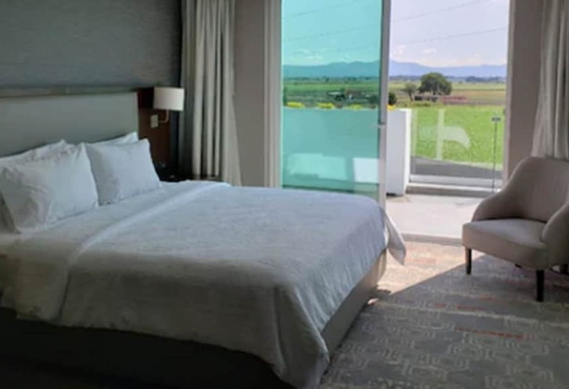 발코니가 있는 스위트, Hilton Garden Inn Salamanca
