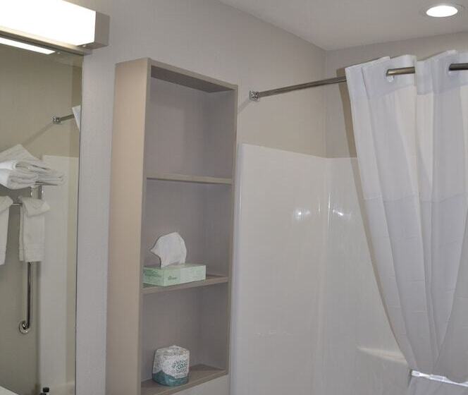 适合残疾人士使用的套间, Microtel Inn & Suites By Wyndham Lubbock