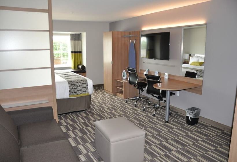 适合残疾人士使用的套间, Microtel Inn & Suites By Wyndham Lubbock