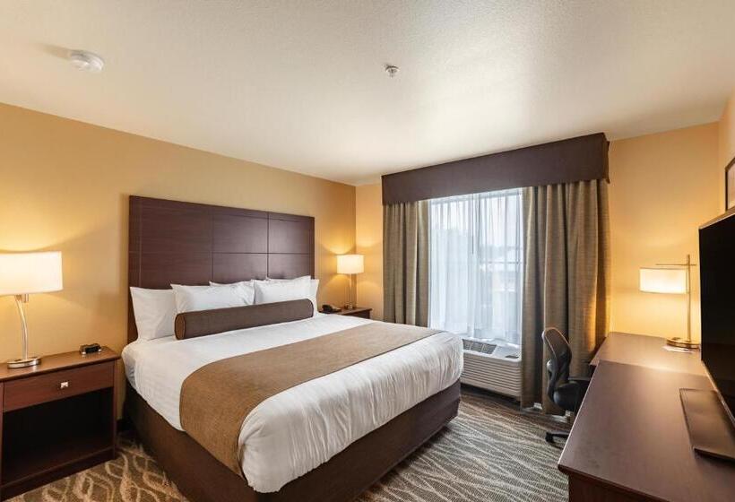 디럭스 스튜디오, Cobblestone Hotel & Suites Hartford