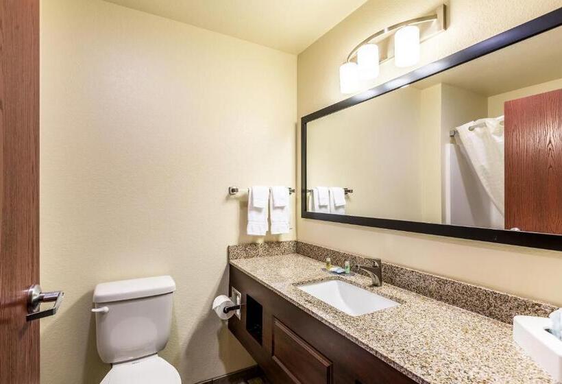 スタンダードルーム, Cobblestone Hotel & Suites Hartford
