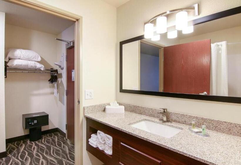 スタンダードスタジオ, Cobblestone Hotel & Suites Hartford