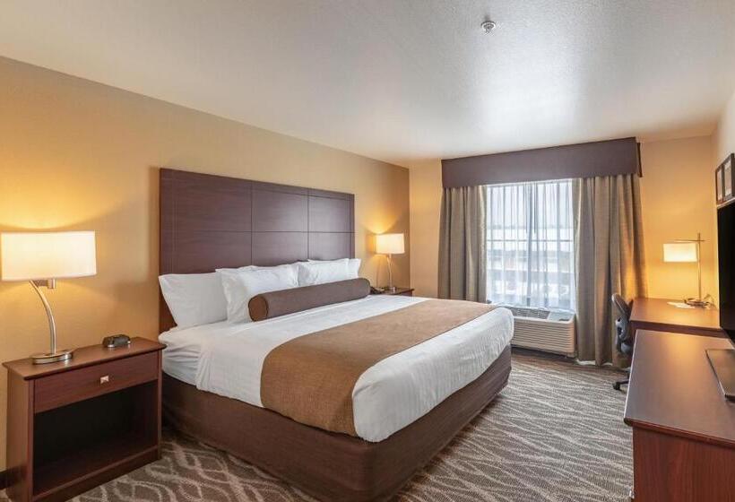 장애인을 위한 킹사이즈 침대 스탠다드 룸, Cobblestone Hotel & Suites Hartford