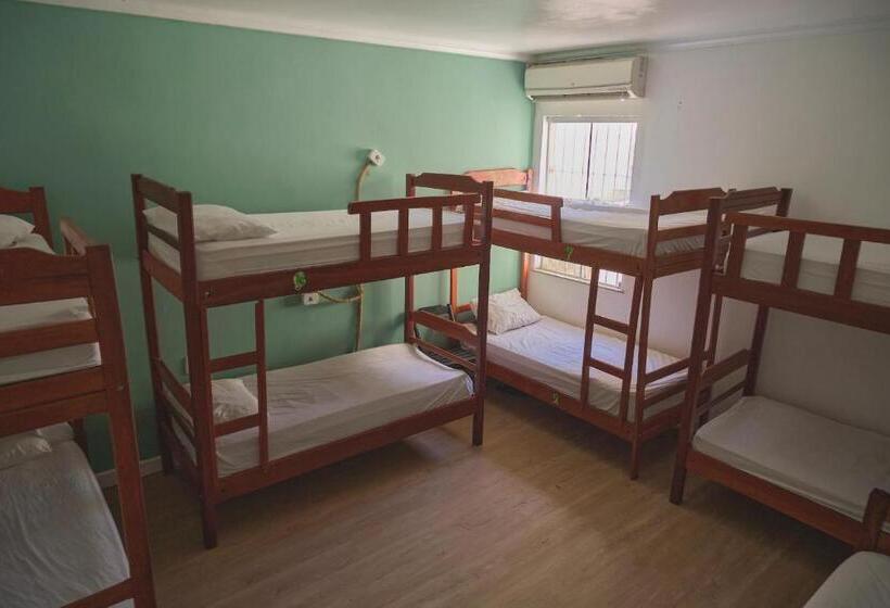 공동 객실, Belem Hostel