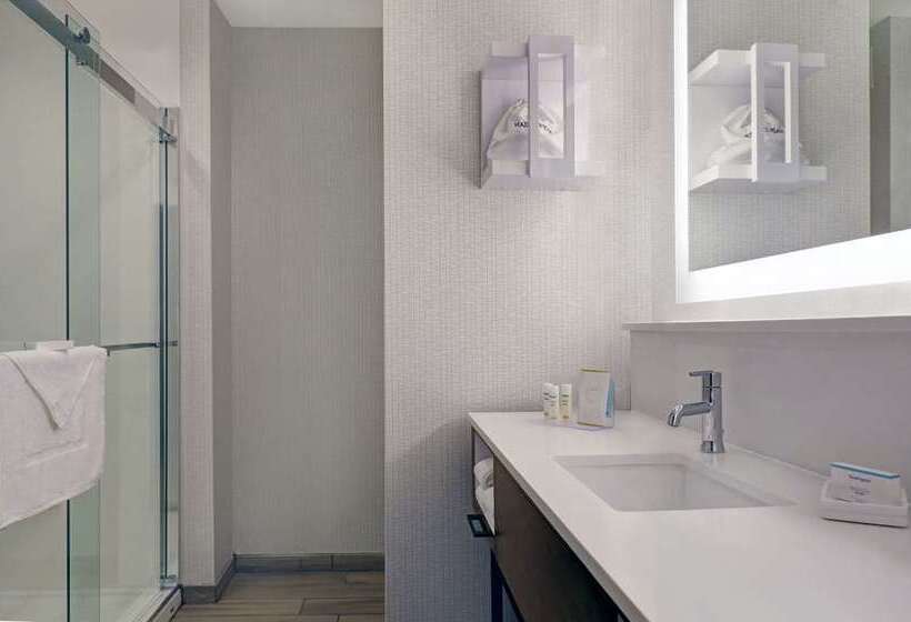 스탠다드 룸 킹사이즈 침대, Hampton Inn Baltimore Bayview Campus