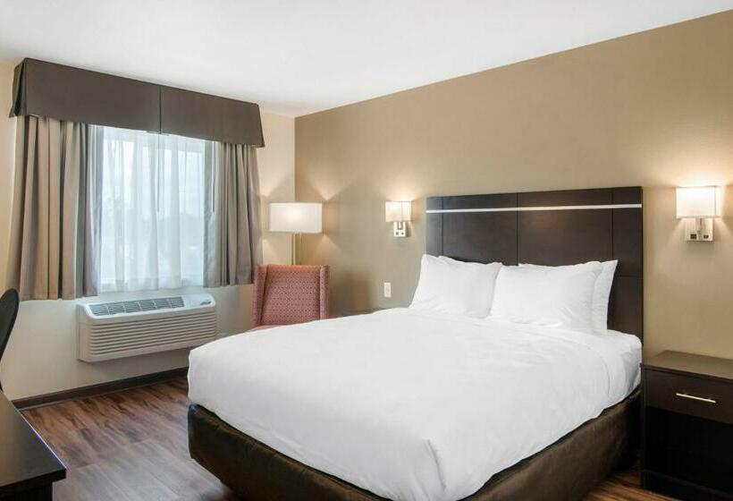 스탠다드 룸, Econo Lodge Inn & Suites