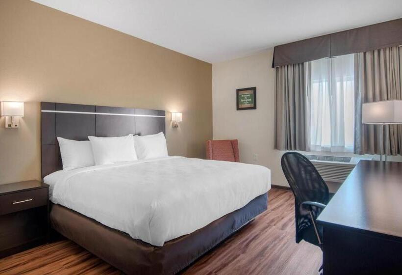 스탠다드 룸 킹사이즈 침대, Econo Lodge Inn & Suites