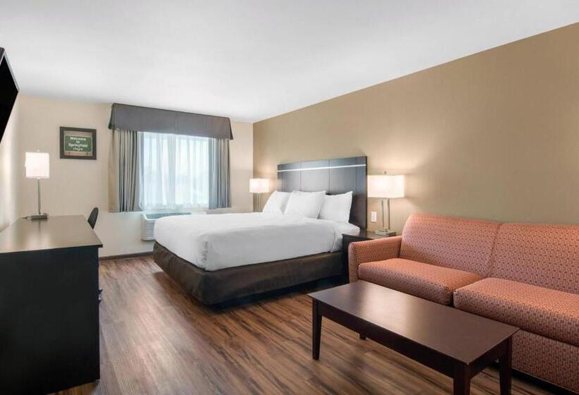 스탠다드 룸 킹사이즈 침대, Econo Lodge Inn & Suites