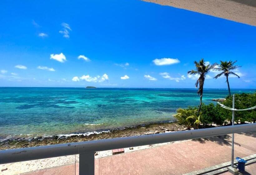 高级海景房, Caribbean Island
