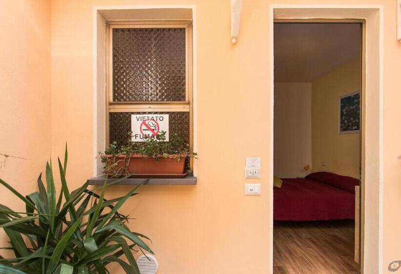 اتاق اکونومی, Casa Arsella