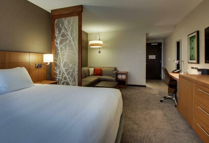 适合残疾人士使用的带超级大床的标准间, Hyatt Place Milwaukee Downtown
