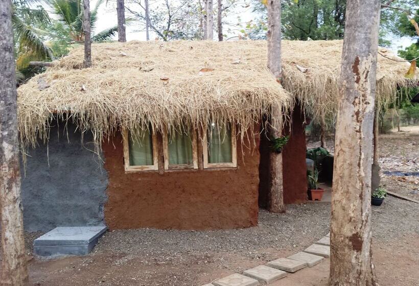 سوییت لوکس, Greenwood Udawalawa Safari Resort