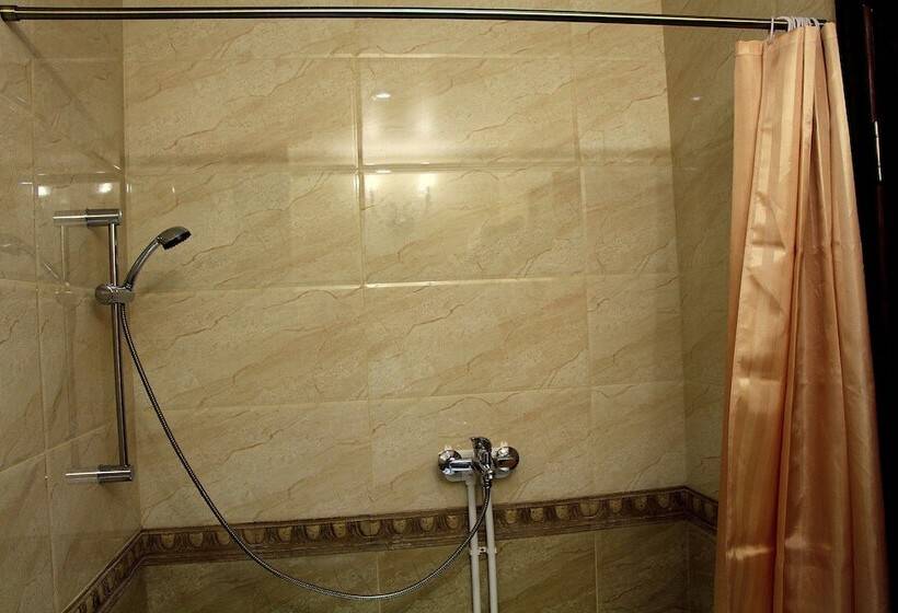 Номер Стандарт, Diadema Sheremetyevo Guest House