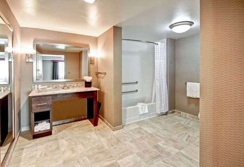 חדר סטודיו סטנדרד, Homewood Suites By Hilton Austin Downtown