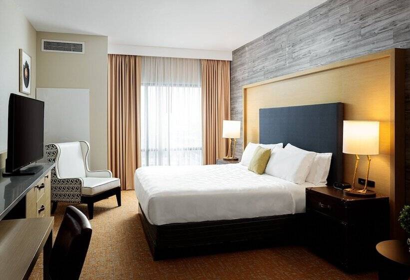 适合残疾人使用的标准间, Holiday Inn & Suites Nashville Downtown Broadway