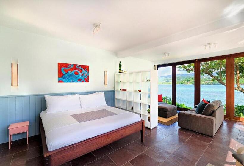 ویلای 1 خوابه با چشم‌انداز دریا, 473 Grenada Boutique Resort