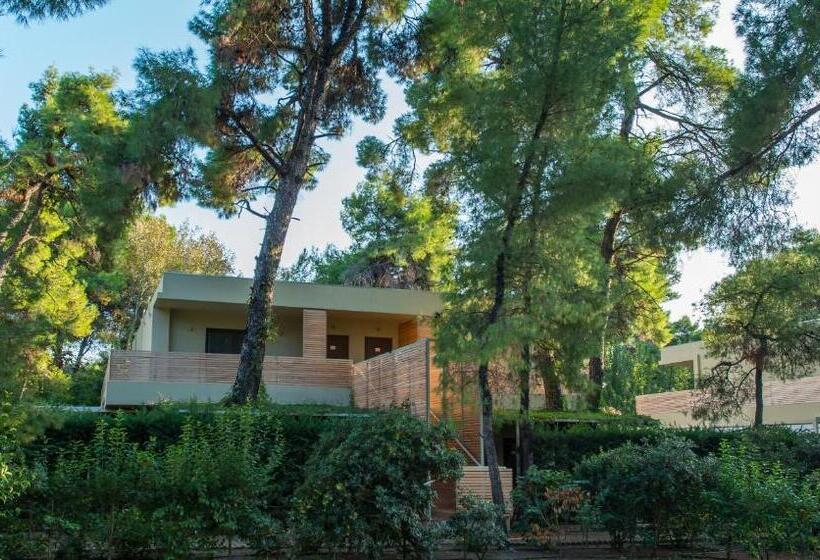 Трехместный Номер Премиум, Club Agia Anna