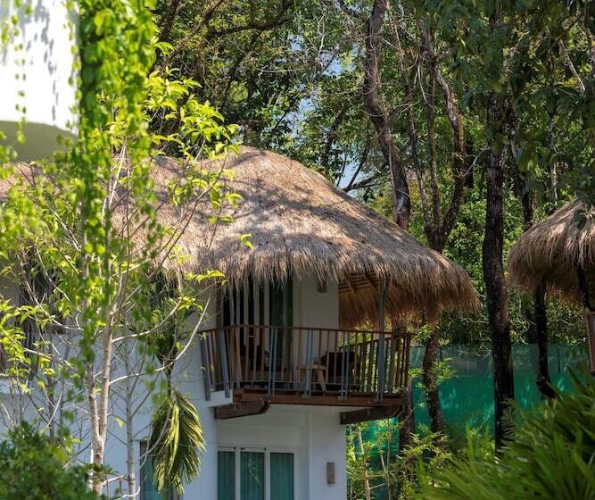 스탠다드 룸 풀장 전망, Eden Beach Khaolak Resort And Spa A Lopesan Collection Hotel   Sha Extra Plus