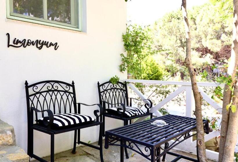 اتاق استاندارد با چشم‌انداز باغ, Kemerbag 29   Adults Only