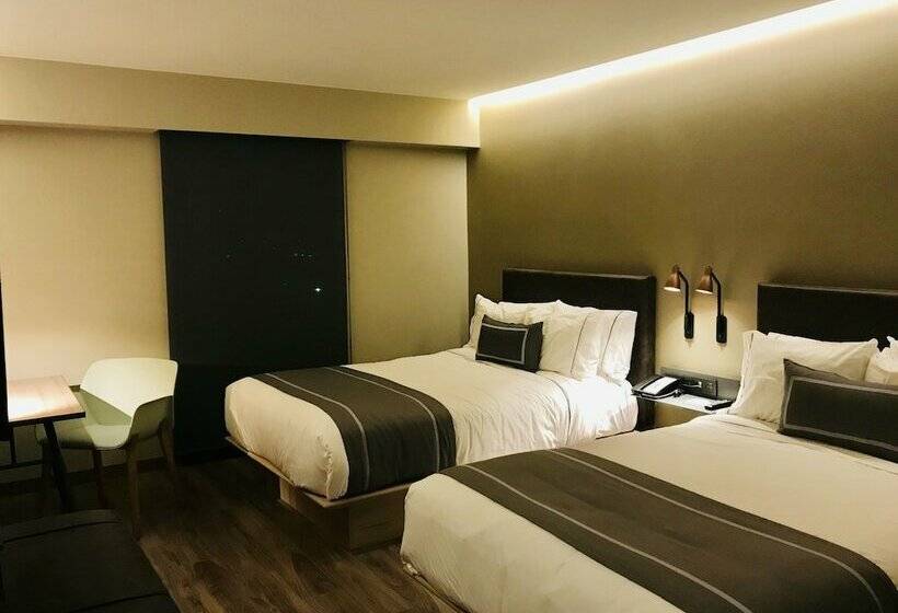 ２ダブルベッドのスタンダードルーム, City Express Plus By Marriott Ensenada