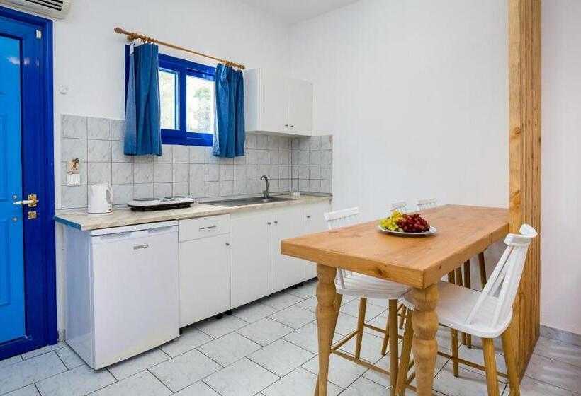Apartamento 1 Dormitório Vista Jardim, Rodon House Apart