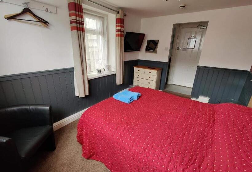 스탠다드 룸, Llwynygog Guest House