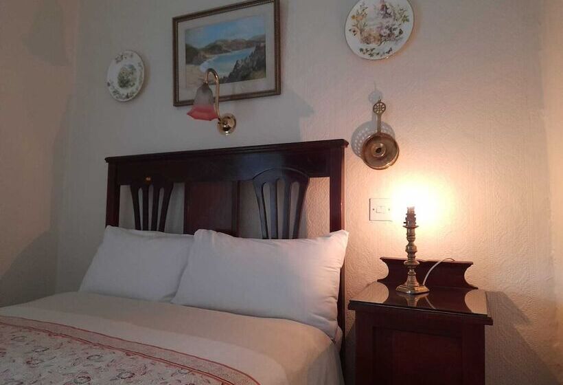 标准单人间, Red Setter Town House B&b