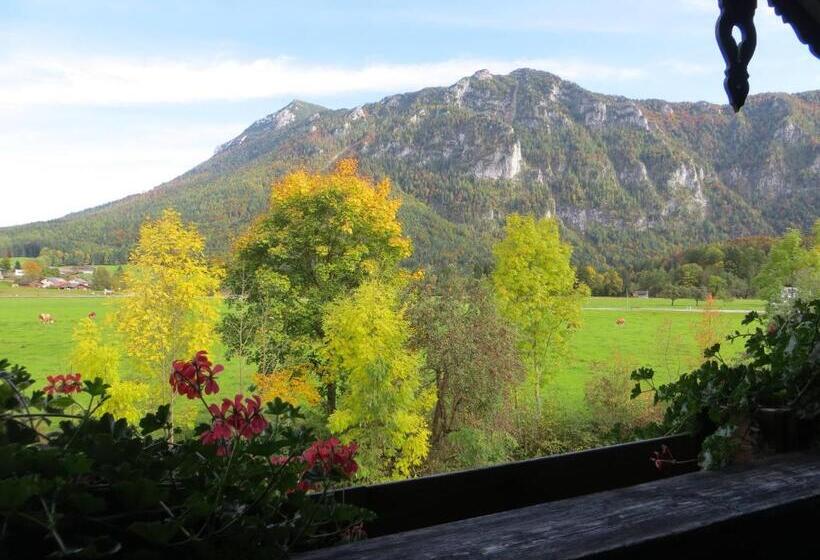 Quarto Estandar, Pension Marianne
