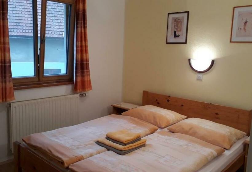اتاق استاندارد با سرویس بهداشتی مشترک, Apartments & Hostel Bohinj